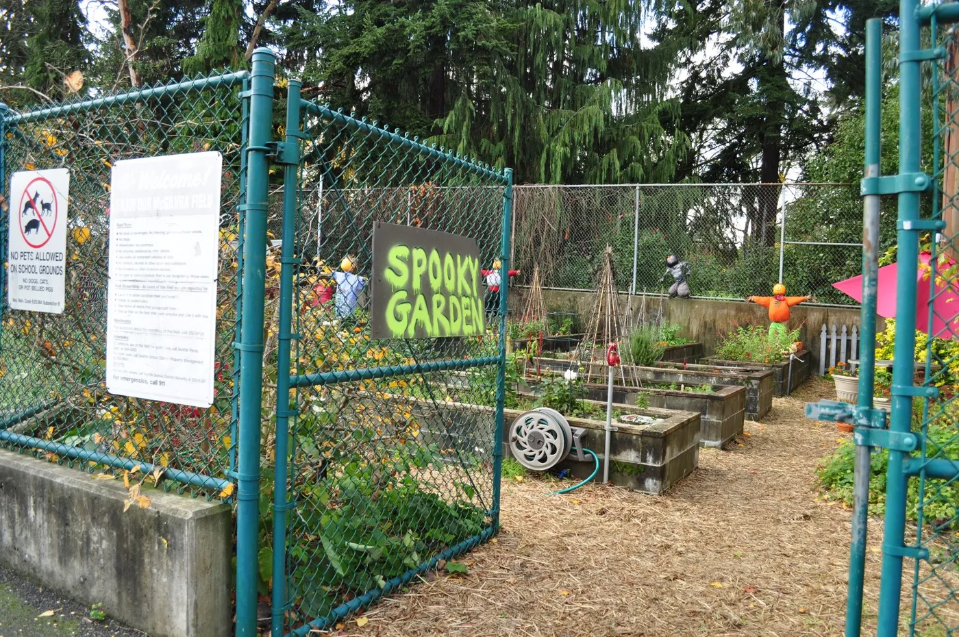 The garden at McGilvra in 2015, with a hand-painted garden sign, plant beds and pathways